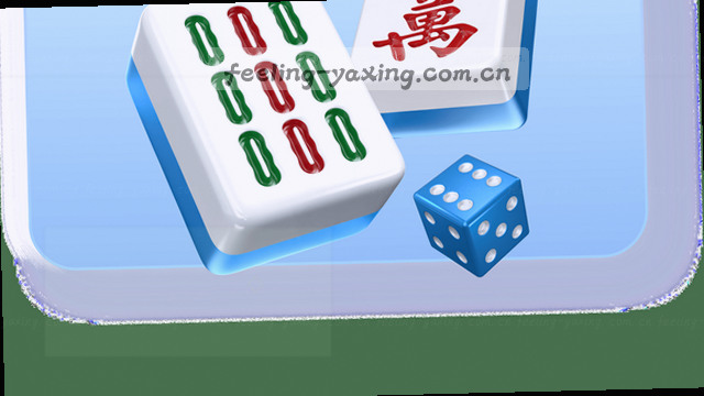 专业支持，全程陪伴