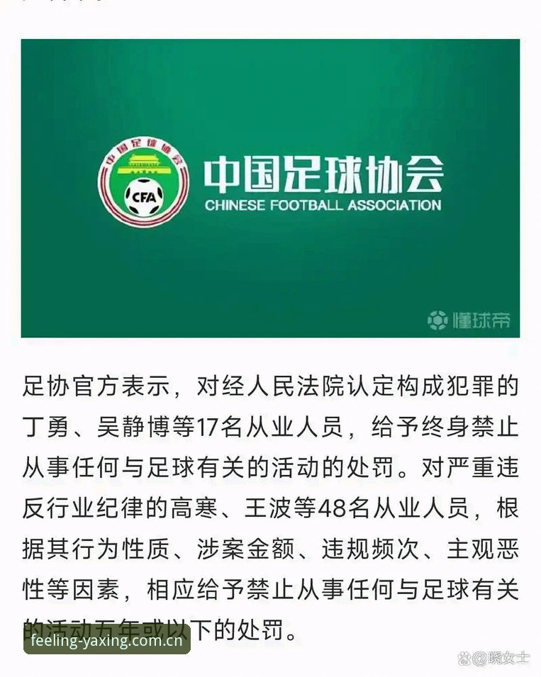 足协第三批禁足名单新手解读指南：从17人终身禁足到亚星CN利落手感赔率表功能详解